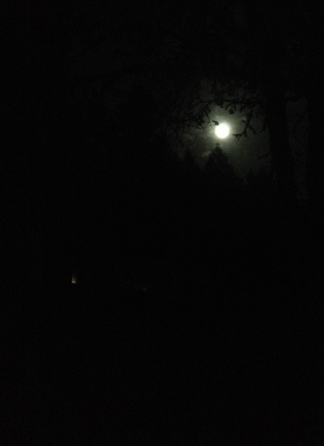 Goodnight moon too