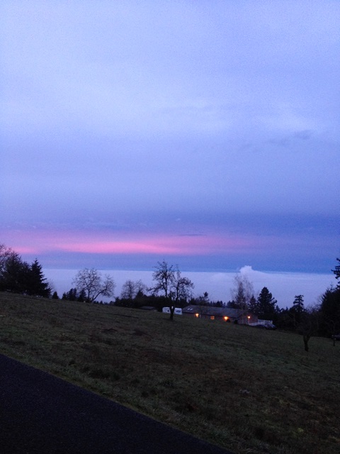 Sunrise fog 2.11.15
